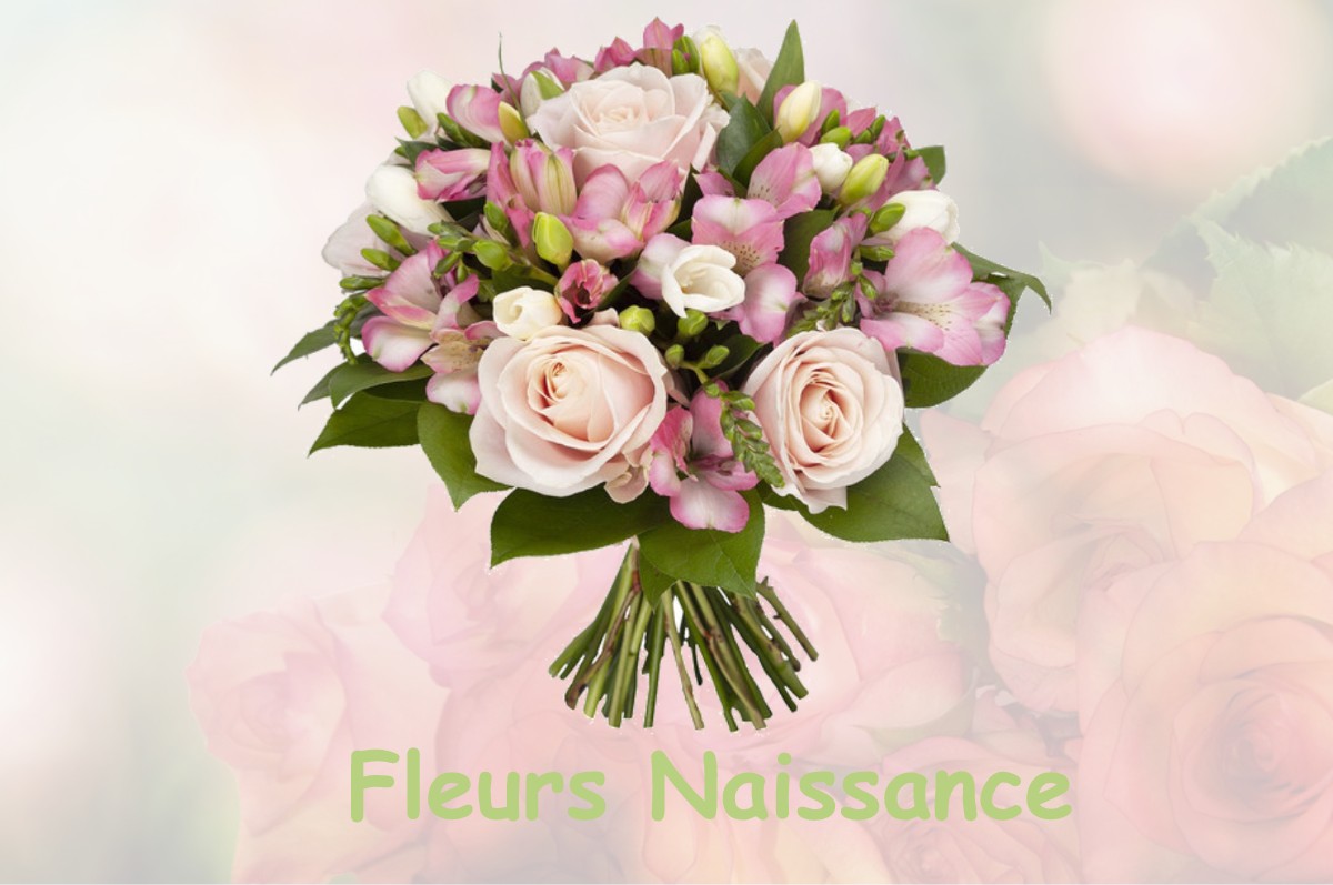 fleurs naissance LESPINASSE