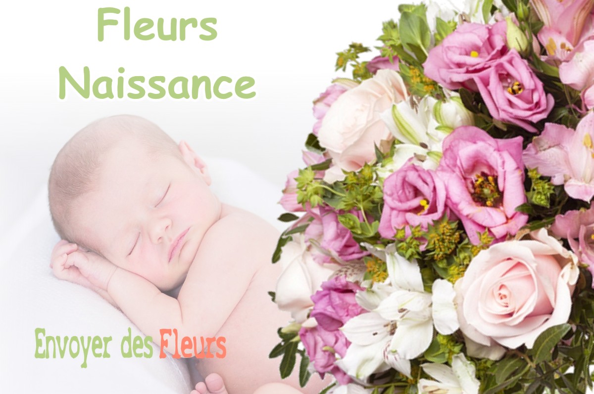 lIVRAISON FLEURS NAISSANCE à LESPINASSE